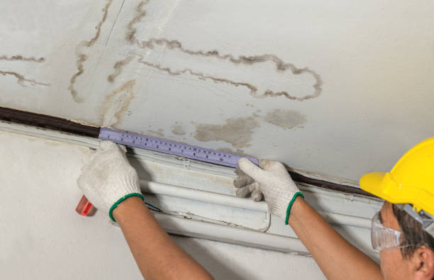 Affordable Water Damage Repair solutions in Grantsboro, NC